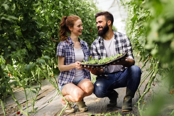 Paar van boeren zaailing spruiten — Stockfoto