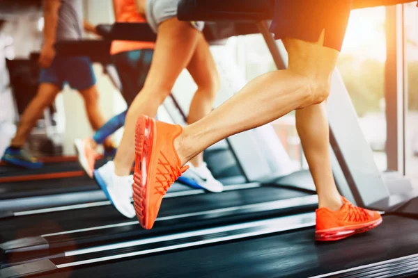 Personas que hacen entrenamiento cardiovascular en la cinta de correr —  Fotos de Stock