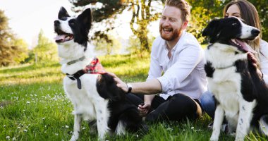  Evcil hayvan ile onların zaman zevk çift