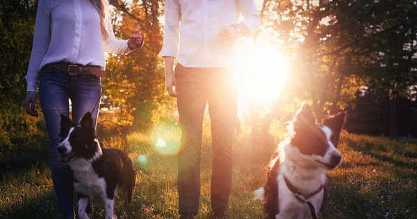 Hermosa pareja paseando perros —  Fotos de Stock