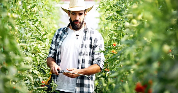 Genç çiftçi onun bitki koruma — Stok fotoğraf