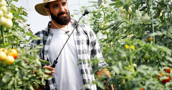 Genç çiftçi onun bitki koruma