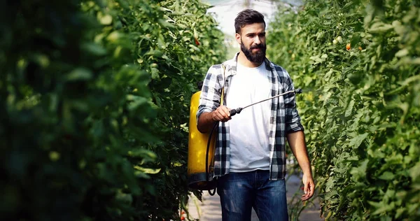 Joven agricultor protegiendo sus plantas — Foto de Stock