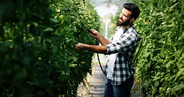 Joven agricultor protegiendo sus plantas —  Fotos de Stock