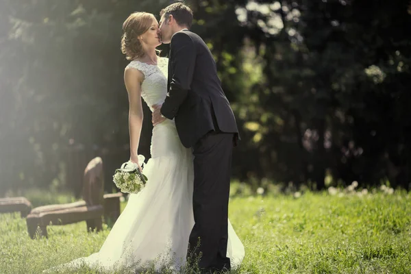 Bela noiva e noivo — Fotografia de Stock