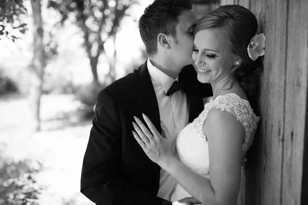 Beautiful bride and groom — Stock Photo, Image