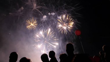 Kalabalık havai fişek izlerken