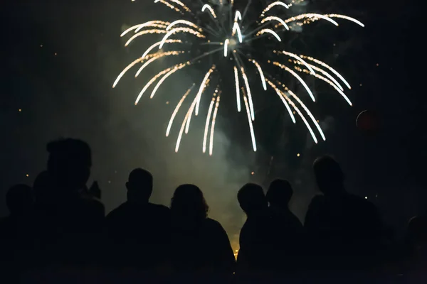 Multidão assistindo fogos de artifício — Fotografia de Stock