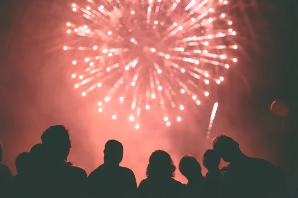 Folle a guardare fuochi d'artificio — Foto Stock