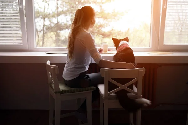 Mulher e cachorro feliz — Fotografia de Stock