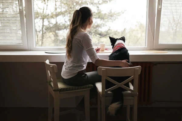 Frau und glücklicher Hund — Stockfoto