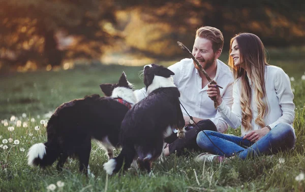 Pareja disfrutando de su tiempo con mascotas —  Fotos de Stock