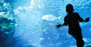 Harika sualtı dünya 