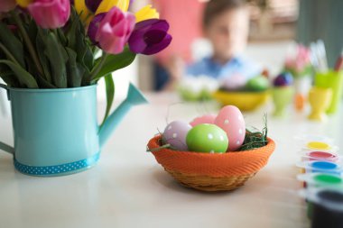 Bahar Lale çiçek grup