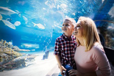 Hayran anne ve oğlu deniz yaşamını oceanarium içinde izlerken