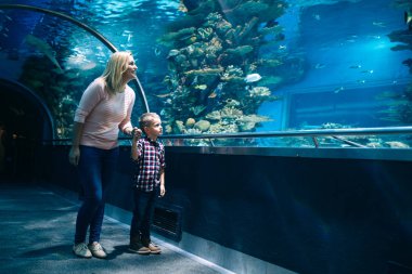 Hayran anne ve oğlu deniz yaşamını oceanarium içinde izlerken