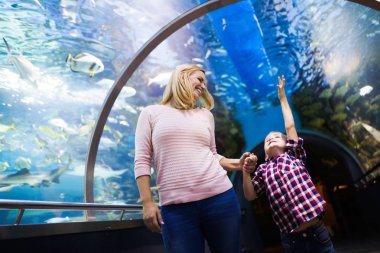 Hayran anne ve oğlu deniz yaşamını oceanarium içinde izlerken