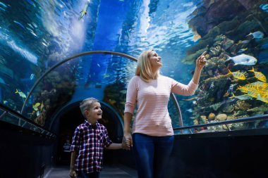 Hayran anne ve oğlu deniz yaşamını oceanarium içinde izlerken