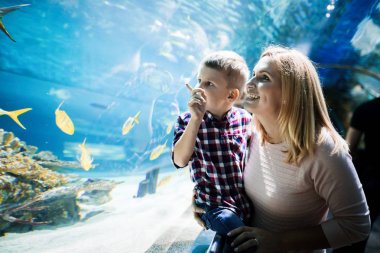 Fascinated mother and son watching sea life in oceanarium clipart