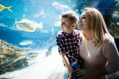 Hayran anne ve oğlu deniz yaşamını oceanarium içinde izlerken