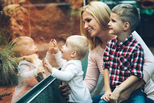 Šťastná Rodina Matka Objímala Její Děti Usmívá — Stock fotografie