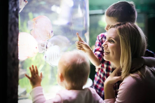 Rodinné Watchig Ryby Velké Akvárium — Stock fotografie