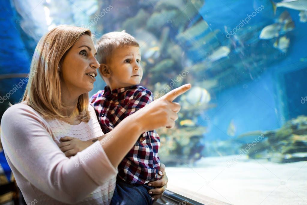Fascinated mother and son watching sea life in oceanarium