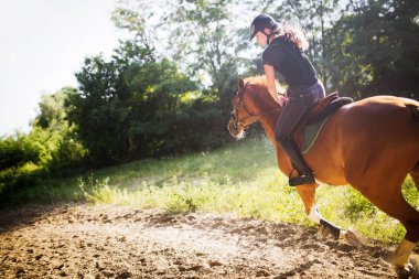Portrait of young woman riding her horse in countryside clipart