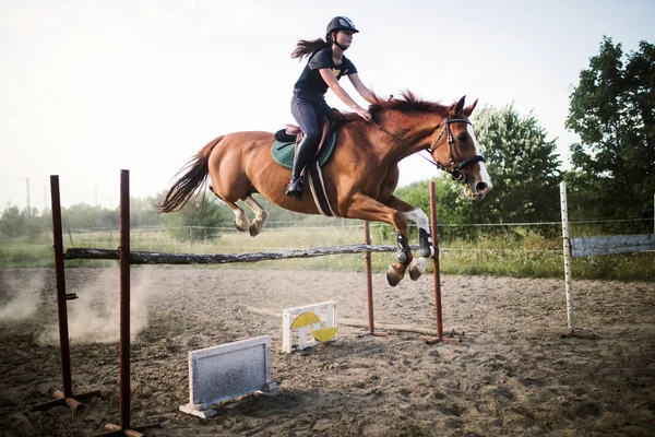 Jóquei Em Seu Cavalo Que Pula Sobre Um Obstáculo Foto de Stock