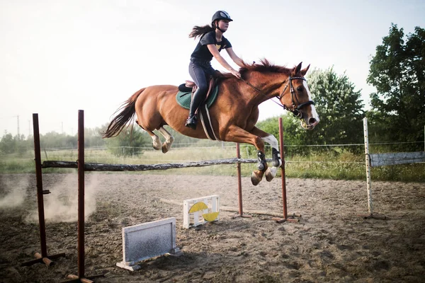 Cavalo De Baía Com Garota De Jóquei Pulando Sobre Um Obstáculo. Um