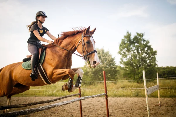 Mladá Žena Žokej Její Kůň Skákající Přes Překážku — Stock fotografie