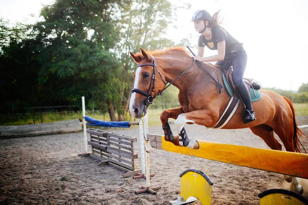 Jovem Jóquei Feminino Seu Cavalo Pulando Sobre Obstáculo — Fotografia de Stock