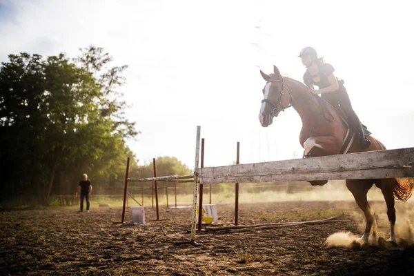 Joven Jinete Sobre Caballo Saltando Por Encima Obstáculo — Foto de Stock