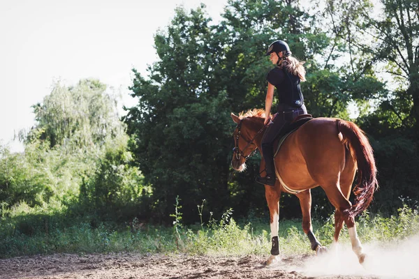 Portrét Mladé Ženy Koni Přírodě — Stock fotografie