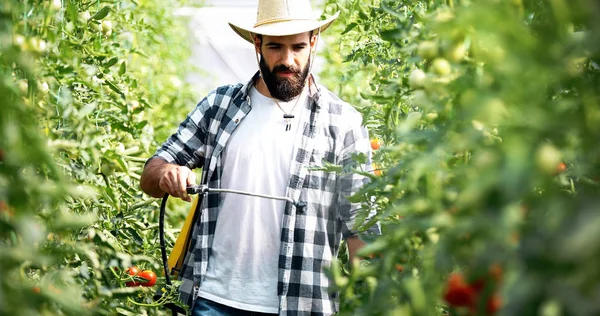 Giovane Agricoltore Proteggere Sue Piante Spruzzando Sostanze Chimiche — Foto Stock