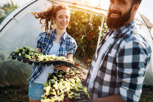 Image of young couple of farmers seedling sprouts in garden
