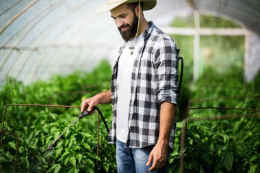 Spaying sebze hastalık ve zararlıları karşı pestisitler gibi su ya da bitki koruma ürünleri ile