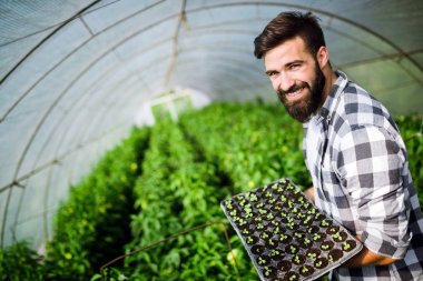 Genç adam onun sera tesisi işi