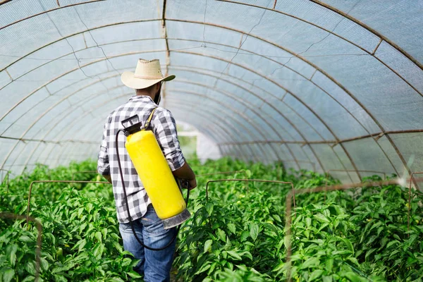 Jonge Boer Beschermt Zijn Planten Die Besproeien Met Chemicaliën — Stockfoto