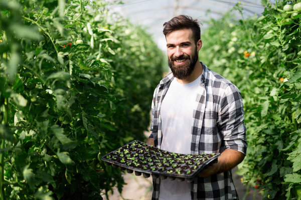 Handsome young man working in a greenhouse.
