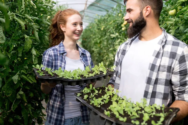 Twee Jonge Knappe Mensen Werken Kas — Stockfoto