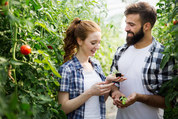 Two smart people working in a greenhouse.