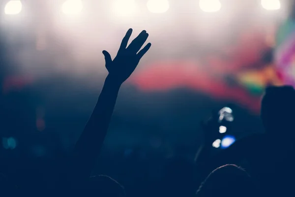 Cheering Happy Crowd Concert Enjoying Music Performance — Stock Photo, Image