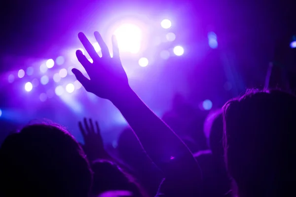 Επευφημίες Ευτυχισμένο Πλήθος Συναυλία Απολαμβάνοντας Μουσική Παράσταση — Φωτογραφία Αρχείου