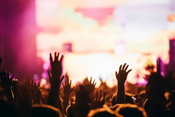 Επευφημίες Ευτυχισμένο Πλήθος Συναυλία Απολαμβάνοντας Μουσική Παράσταση — Φωτογραφία Αρχείου