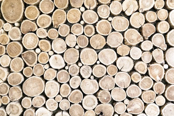 Madeira Log Textura Marrom Fundo — Fotografia de Stock