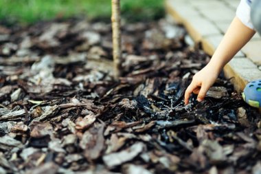 Ağaçlar için ev sulama sistemi