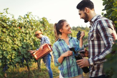 Örnekleme ve şarapları tatma insanlar