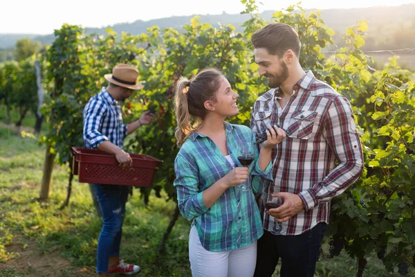 Människor provtagning och smaka viner — Stockfoto