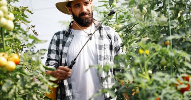 Genç çiftçi bitkilerini koruyor.